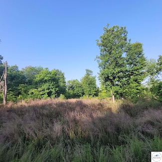 Lot 4 Wendys Ln, Cole Township, MO 65338