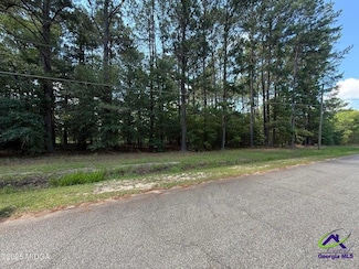 0 Fairway Ln Unit 254723, Hawkinsville, GA 31036