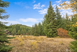 50 Morning Star Ln, Cle Elum, WA 98922