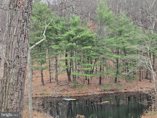 0 0 Shockeysville Rd, Winchester, VA 22603