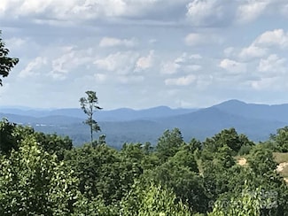 99999 Bay Laurel Ln Unit 1905, Hendersonville, NC 28791