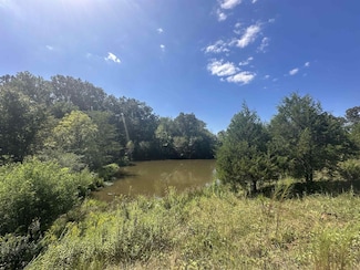 0 Middleburg Rd, Decaturville, TN 38329