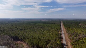 0 Bells Ferry Rd Unit 10654513, Lumber City, GA 31549