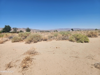 1420 E Antelope St, Silver Springs, NV 89429