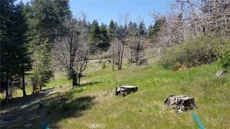 31889 Encina Way, Running Springs, CA 92382