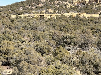 0 County Road 2550 Unit 22753380, Aztec, NM 87410