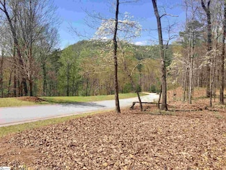 110 Black Knight Trail, Travelers Rest, SC 29690