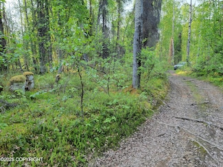 19859 E Caughtabigone Ave, Susitna North, AK 99688