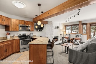 640 Carriage Way Unit 201, Snowmass Village, CO 81615