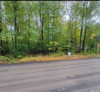 0 N Decter Dr, Kerhonkson, NY 12446