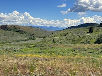 836 TBD Ellemeham Mountain Rd, Oroville, WA 98844