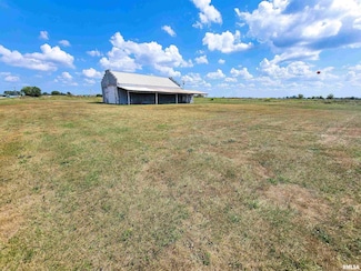 11044 Old Highway 50, Flora, IL 62839