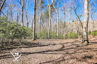 0 Club Rd Unit 22796684, Tryon, NC 28782