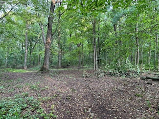 1 Elliot Ave, Put-In-bay, OH 43456