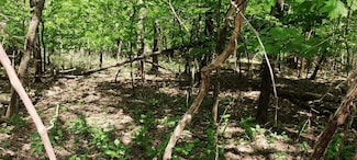 0 Coburntown (Lot 11) Unit RTC2883164, South Pittsburg, TN 37380