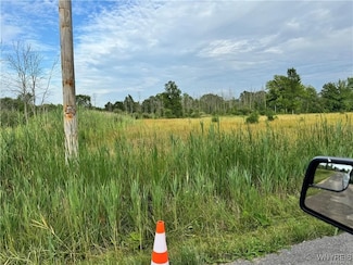 VL Akron Rd, Royalton, NY 14094