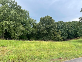 123 Panorama Dr, Cape Fair, MO 65624