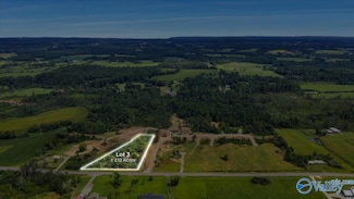 Lot 3 Alabama 40, Henagar, AL 35978