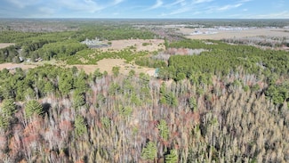 Acres On Watersmeet Lake Rd Unit 20+/-, Eagle River, WI 54521