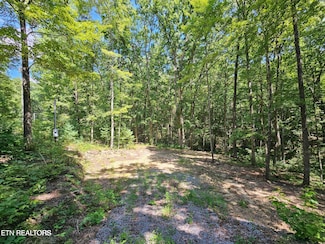 1610 Butternut Ln, Sevierville, TN 37876