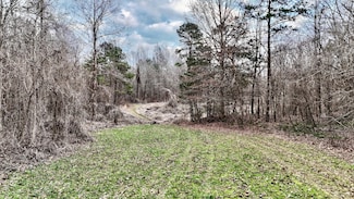 0 Hardaway Chapel Rd, Michigan City, MS 38647