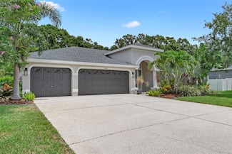 16511 Turnbury Oak Dr, Odessa, FL 33556