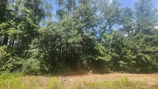 112 2nd St, Georgetown Cove, FL 32139