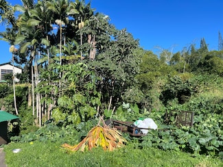 430 Kaiwiki Rd, Hilo, HI 96720