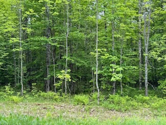 TBD Dog Patch Rd, L'Anse, MI 49946