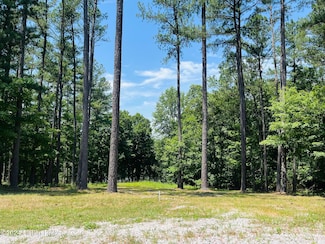 8 Marina Point Ln, Falls of Rough, KY 40119