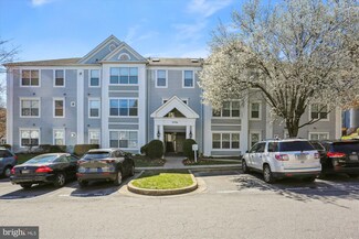 2706 Snowbird Terrace Unit 8, Silver Spring, MD 20906