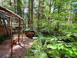 0 Cascade River Rd Unit 1-208, Marblemount, WA 98267