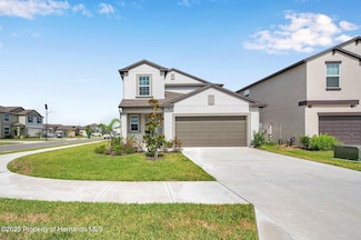 71 Rose Bud Ln, Spring Hill, FL 34609