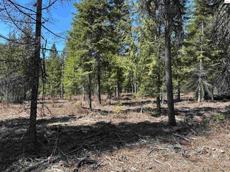 Nna Butler Creek Rd, Cocolalla, ID 83813