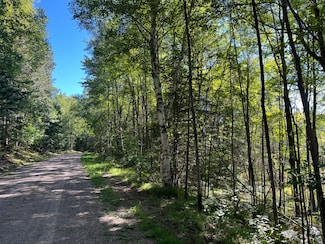 ON Sunny Point Rd, Harshaw, WI 54529