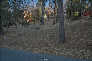 1411 Yosemite Dr, Lake Arrowhead, CA 92352
