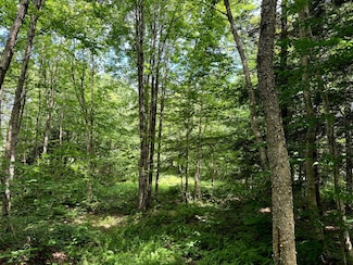 7 Deer Run Ln, Lewis, NY 13325