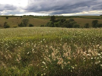Lot 4 Timber Ridge Estates Phase 1 Ct, van Meter, IA 50261