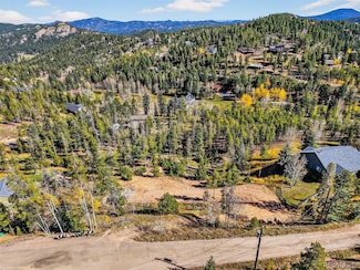 6884 Woodchuck Way, Shadow Mountain, CO 80439