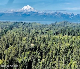 L22 Kalgin Island Estates, Remote, AK 99000
