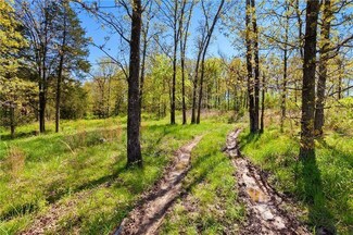 11800 Little Rd, Summers, AR 72769