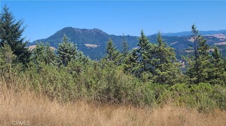 1630 Perry Meadow Rd, Outside Area (Inside Ca), CA 95560