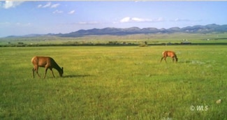 Lot 3 County Road 119, Westcliffe, CO 81252