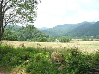 000 Old Spring Creek Rd, Hot Springs, NC 28743