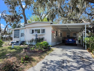 10704 Mayaka Loop, Riverview, FL 33569