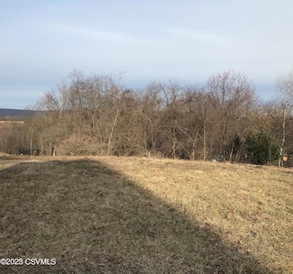 LOT NO. 56 Madison St, Northumberland, PA 17857