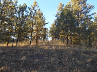 0 Upper Sawmill Loop Unit 3162562, Cascade, MT 59421