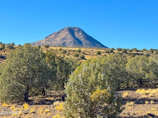 Lot 76 Juniperwood Ranch Unit 11 --, Ash Fork, AZ 86320