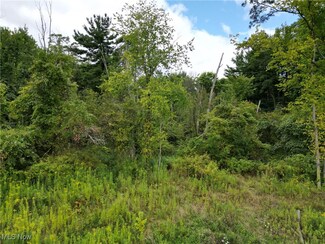 5590 Graven Way, Wadsworth, OH 44281