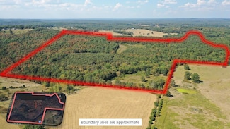 000 County Road 330, Gainesville, MO 65655